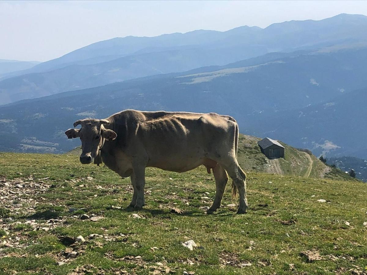 Panoramic Xalet La Molina Con Vistas Excelentes Villa Kültér fotó